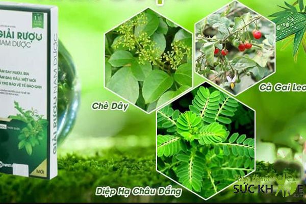 Thành phần trong viên uống hỗ trợ giải rượu Nam Dược