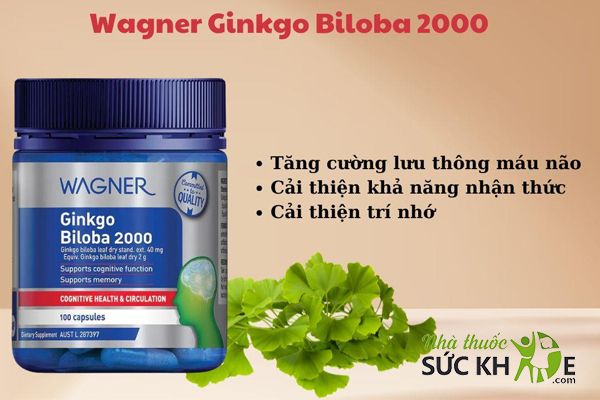 Ginkgo Biloba 2000 Wagner chứa thành phần chiết xuất từ lá Bạch quả