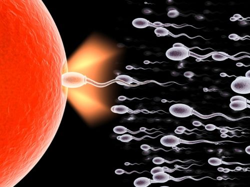 Viên uống Menevit Úc 90v cho nam giới
