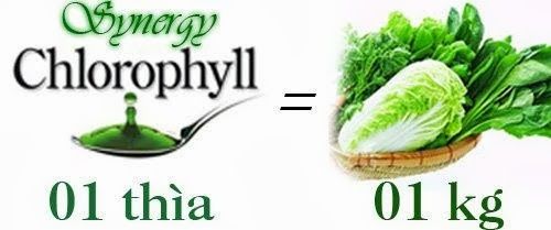 Nước diệp lục Chlorophyll Synergy‎ 730ml cho cơ thể khỏe mạnh