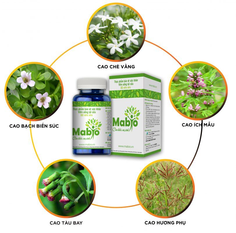 Viên Uống Mabio Hỗ Trợ Nâng Cao Chất Lượng Sữa Mẹ