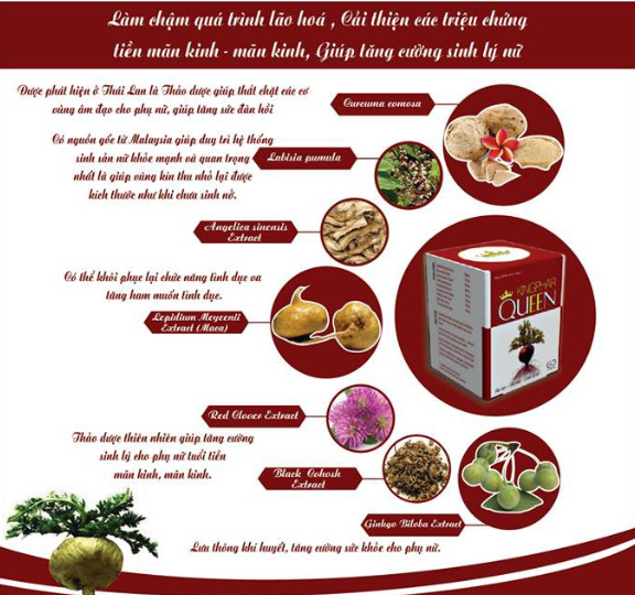 Viên uống cân bằng nội tiết tố nữ Kingphar Queen