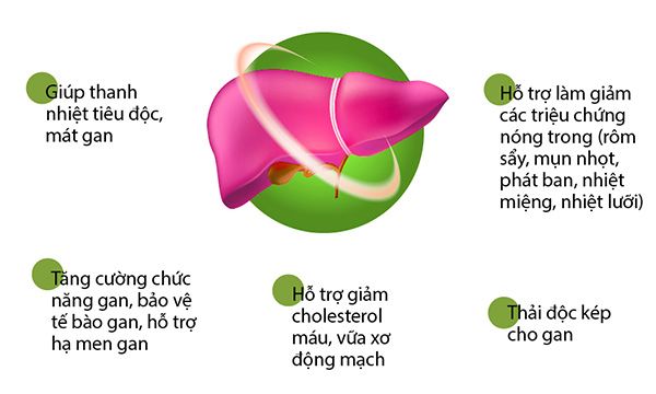 Boganic Traphaco - Bổ gan, giải độc viên bao đường hộp 2 vỉ
