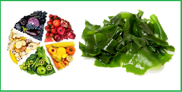 Vitamin Tổng Hợp Nature’s Way Complete Daily Multivitamin 200 Viên