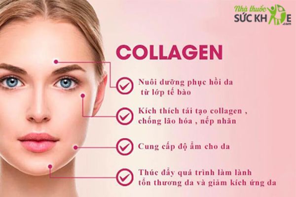The Collagen Shiseido dạng bột của Nhật Bản