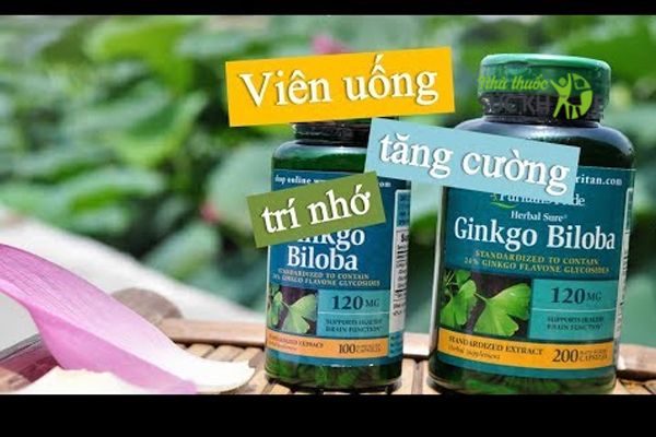 Viên uống Ginkgo Biloba Puritan's Pride 120 mg chính hãng của Mỹ