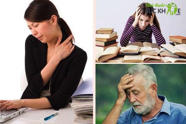 Viên hỗ trợ tuần hoàn não Thompson's One A Day Ginkgo 6000mg