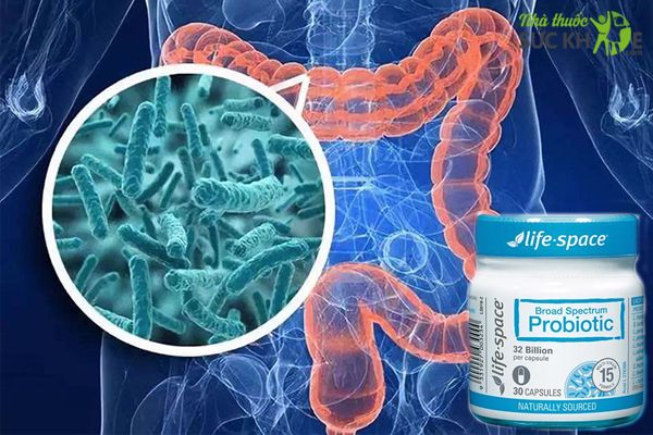 Men vi sinh Úc cho người lớn Life Space Probiotic