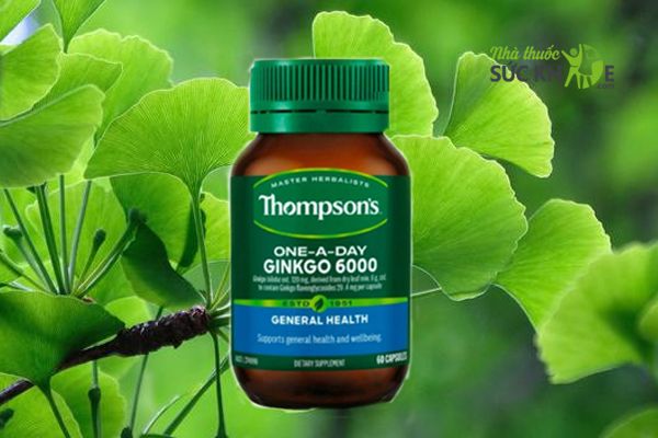 Viên hỗ trợ tuần hoàn não Thompson's One A Day Ginkgo 6000mg