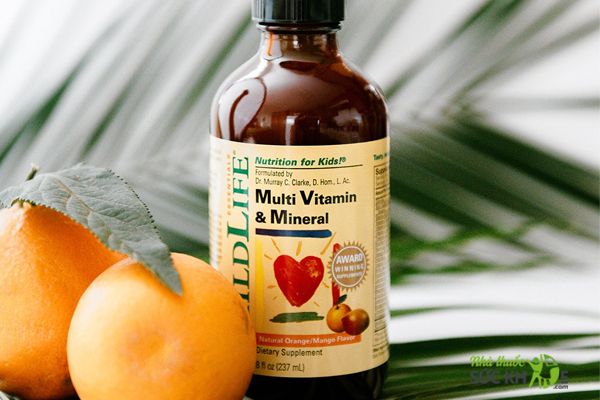 Multivitamin & Mineral Childlife Cho Trẻ Từ 6 Tháng đến 12 Tuổi