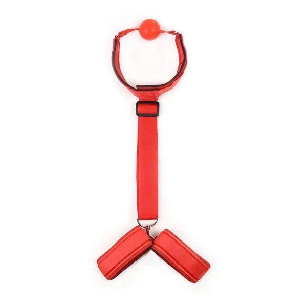 Set Đồ Chơi Bạo D&acirc;m Kh&oacute;a Tay v&agrave; Bịt Miệng Si&ecirc;u Ph&ecirc;