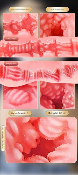&Acirc;m Đạo Giả Dạng M&ocirc;ng