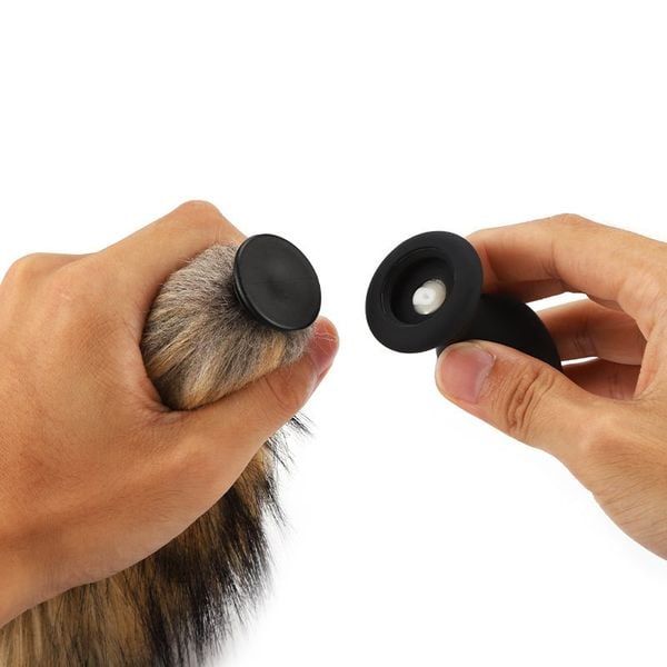 Đu&ocirc;i C&aacute;o Silicone Hậu M&ocirc;n