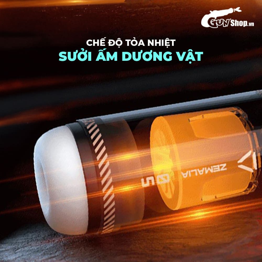 &Acirc;m đạo giả Svakom
