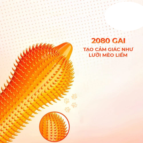 Bao Cao Su Gai Olo Spike G