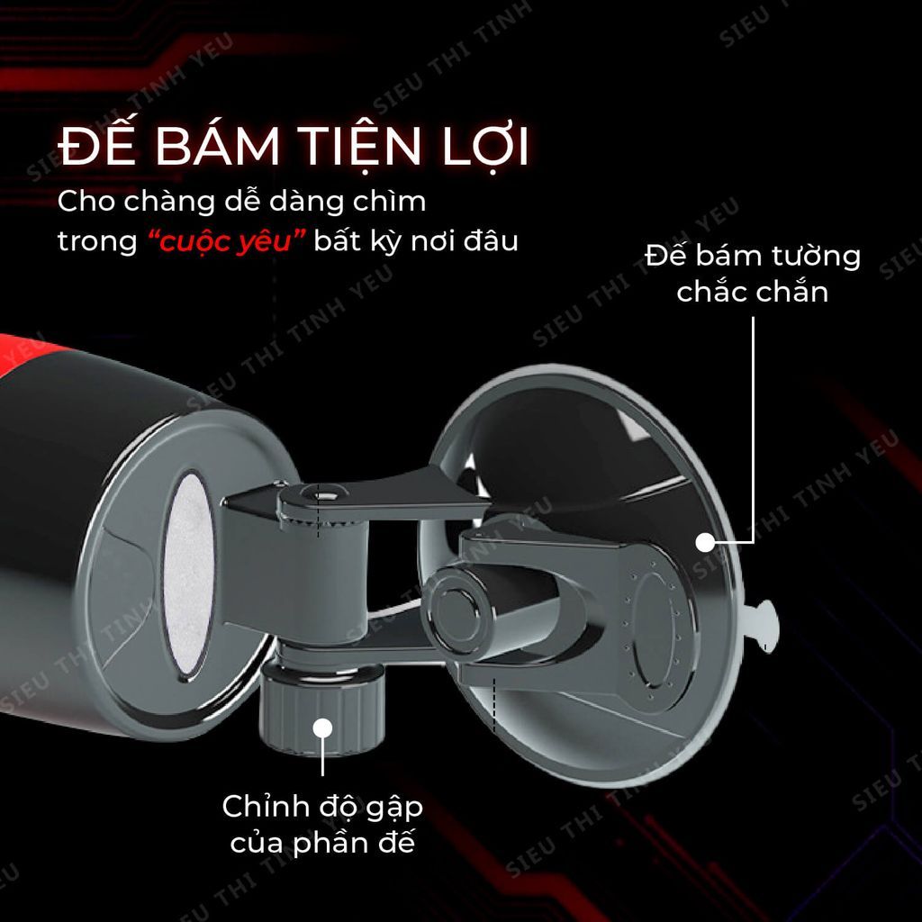 &Acirc;m đạo giả Baile Crazy Bull Delia
