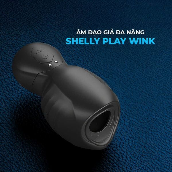 &Acirc;m đạo giả Shelly Play Wink