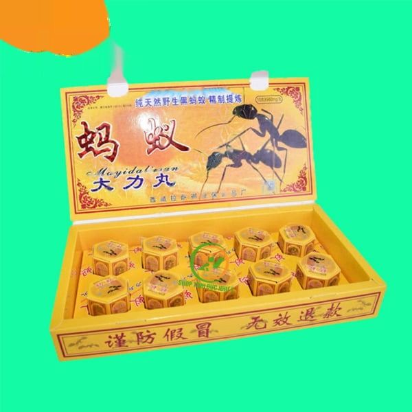 Viên uống hỗ trợ tăng cường sinh lý nam giới Kiến càng đen T