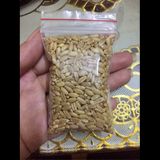 Hạt giống cỏ cho mèo
