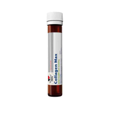 Collagen thuỷ phân dạng nước Doppelherz Collagen Max Đức