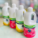 Nước rửa chén kháng khuẩn Kyukyuto KAO Nhật Bản