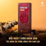 (Hàng chính hãng) Viên hoàn Dương Sâm Linh Đan Thái Minh hỗ trợ sinh lý nam giới