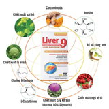 (Hàng nhập khẩu) Viên Uống Hỗ Trợ Bổ Gan Faroson Liver 9 - Hỗ Trợ Chức Năng Gan Khỏe Mạnh