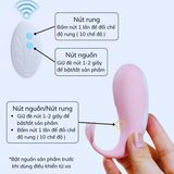 Trứng rung cá voi nhỏ Little Whale Meos