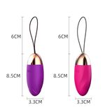 Máy rung cao cấp cho cặp đôi Lelo Tiani Duo