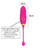 Trứng rung hình dương vật Roseo B70Hana