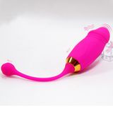 Trứng rung hình dương vật Roseo B70Hana