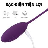 Trứng rung nòng nọc điều khiển từ xaHana