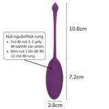 Trứng rung nòng nọc điều khiển từ xaHana