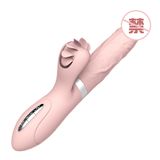 DV CẦM TAY R VÀ NÓNG ẨM EVO MARS 231 X 33