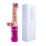  Dương Vật Giả Ailighter R-T-PN S