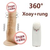 DƯƠNG VẬT ĐÓNG THƯỜNG NGOÁY