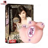 Âm đạo giả nguyên khối Drywell Mizuki Akane 1.2kg chính hãng