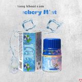 Nước Hoa Popper Ice Blueberry Mint 20ml Hương Bạc Hà Mát Lạnh