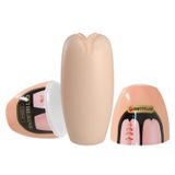 Cốc Thủ Dâm Hỗ Trợ Tăng Khoái Cảm Nam Nữ Pretty Love CATHERINE MASHA mẫu 3 Chính Hãng