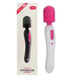 Chày rung tình dục 2 đầu Lilo cao cấp