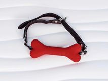 Khóa miệng khúc xương dành cho BDSM