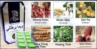 Ngựa Thái Xanh Premium M800 – Hộp 10 Viên
