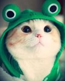 Nước tẩy trang Byphasse Solution Micellaire Face 500ml 215469