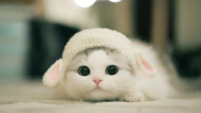 Nước tẩy trang Byphasse Solution Micellaire Face 500ml 215483