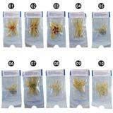 Vòng Đeo Silicone Râu Rồng Hỗ Trợ Bền Bỉ Kích Thích Cho Phái Nam Nhiều Kiểu Để Chọn Chính Hãng 