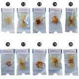 Vòng Đeo Silicone Râu Rồng Hỗ Trợ Bền Bỉ Kích Thích Cho Phái Nam Nhiều Kiểu Để Chọn Chính Hãng 