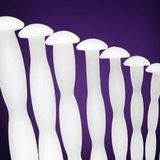 Que Kích Thích Niệu Đạo Nam Giới Silicone Trắng Mềm Sounding Dành Cho Nam Giới Cao cấp Chính Hãng