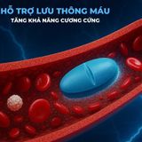 Viên uống hỗ trợ sức khỏe nam giới Maxman Hộp 10 viên