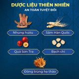 Viên uống hỗ trợ sức khỏe nam giới Horse Thailand Hộp 10 viên