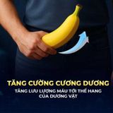 Viên uống hỗ trợ sức khỏe nam giới Horse Thailand Hộp 10 viên